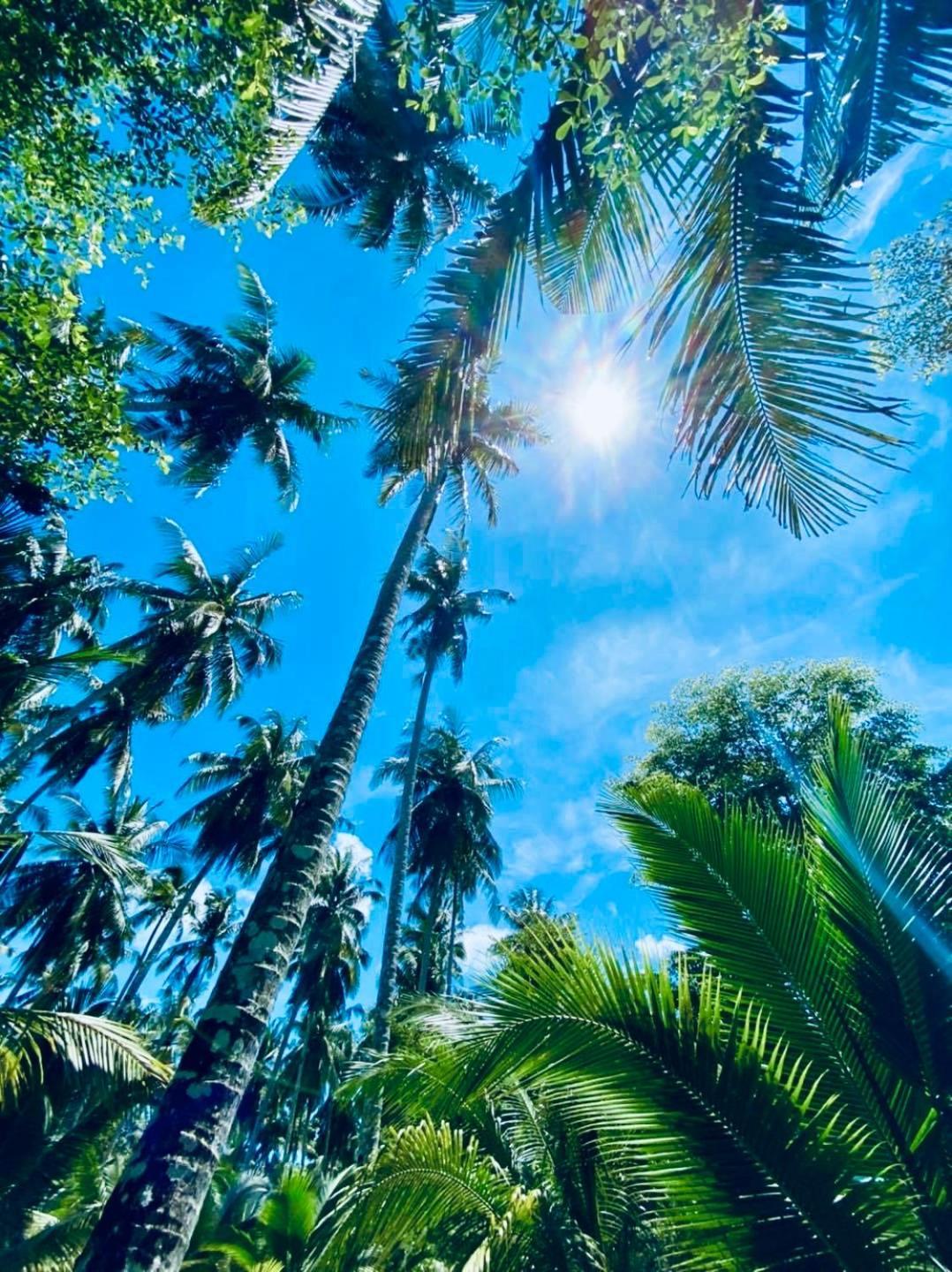Suan Maprao Ko Kut Resort Bagian luar foto