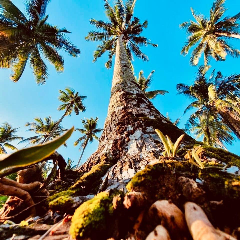 Suan Maprao Ko Kut Resort Bagian luar foto