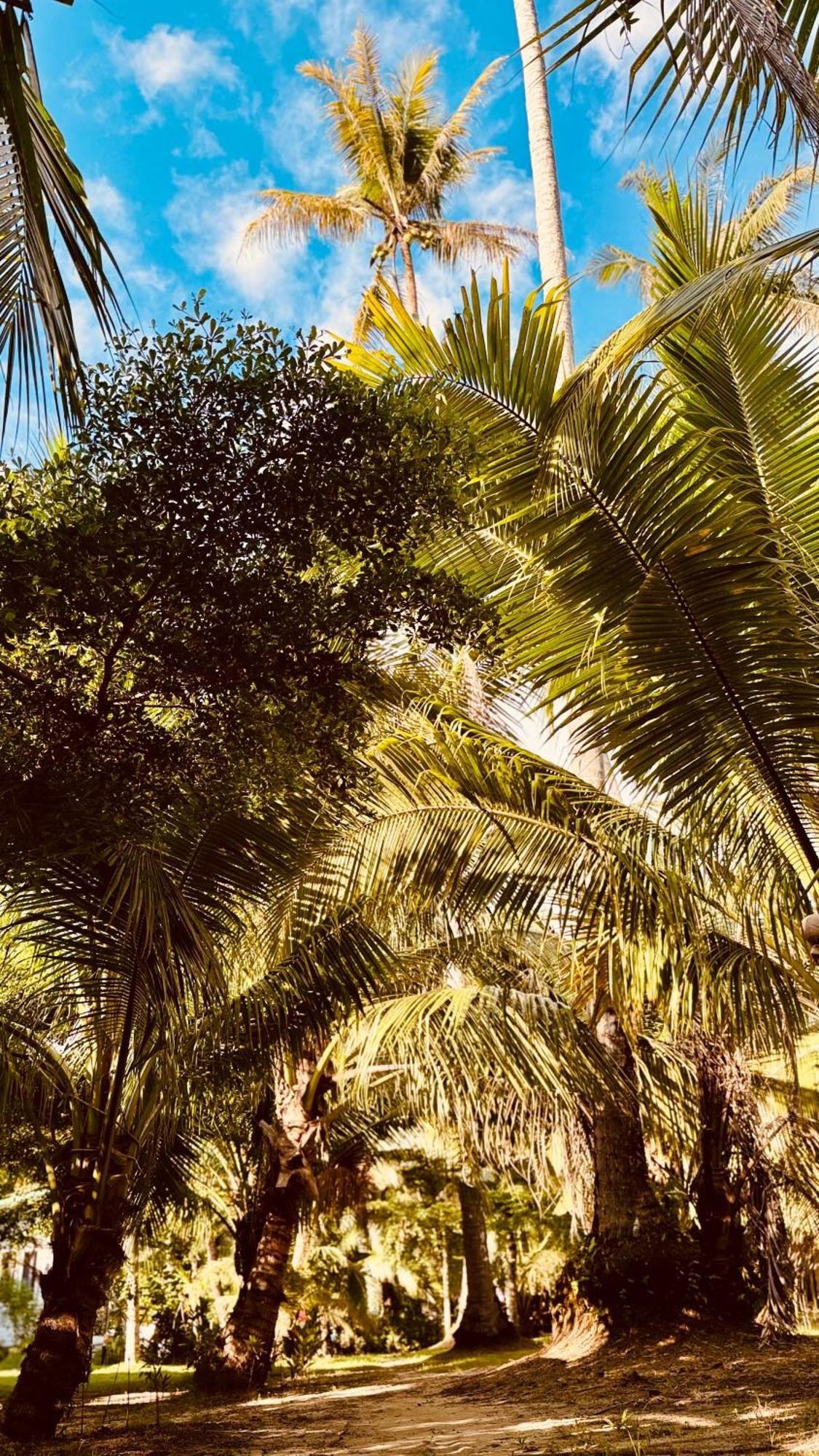 Suan Maprao Ko Kut Resort Bagian luar foto
