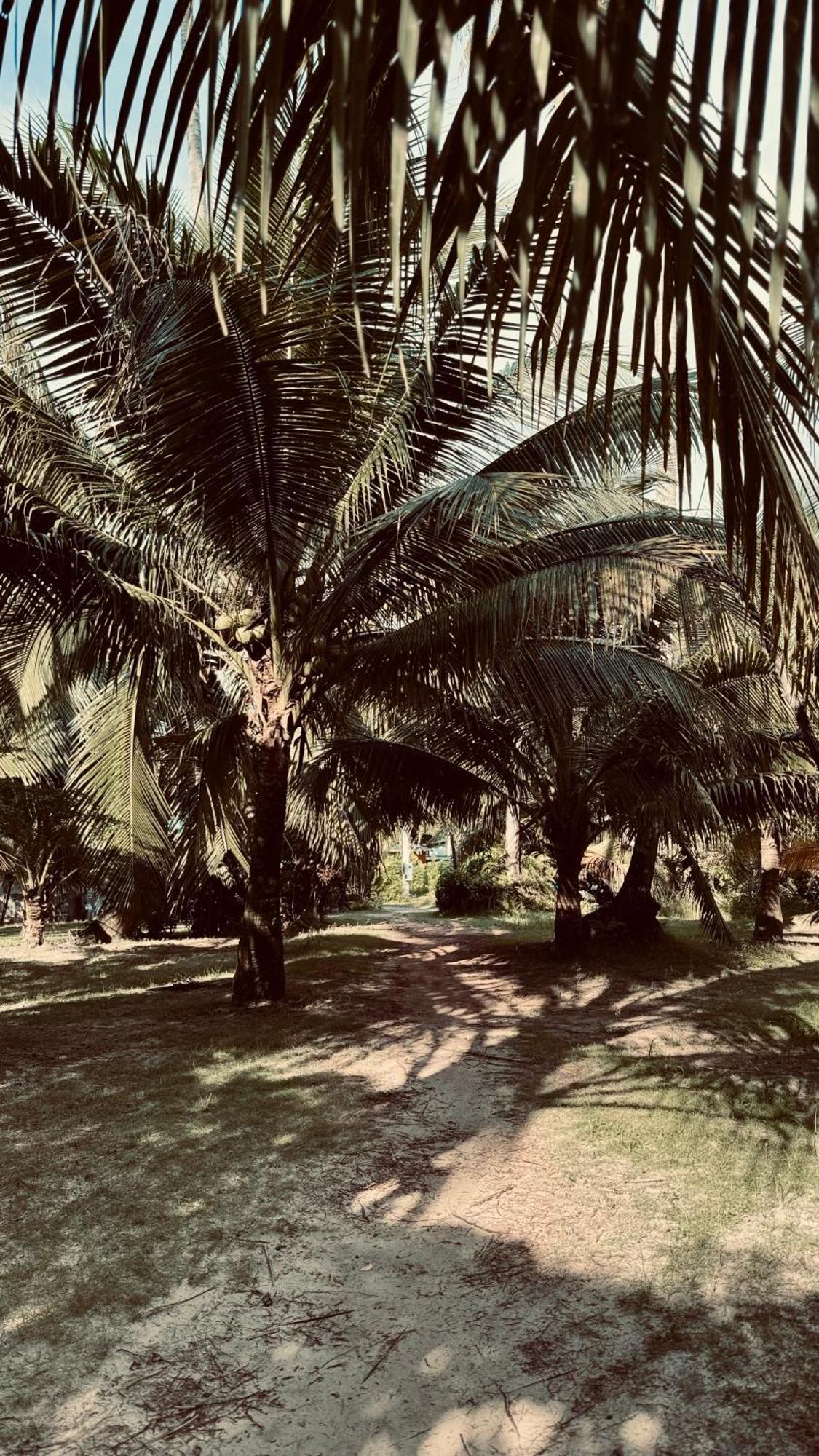 Suan Maprao Ko Kut Resort Bagian luar foto