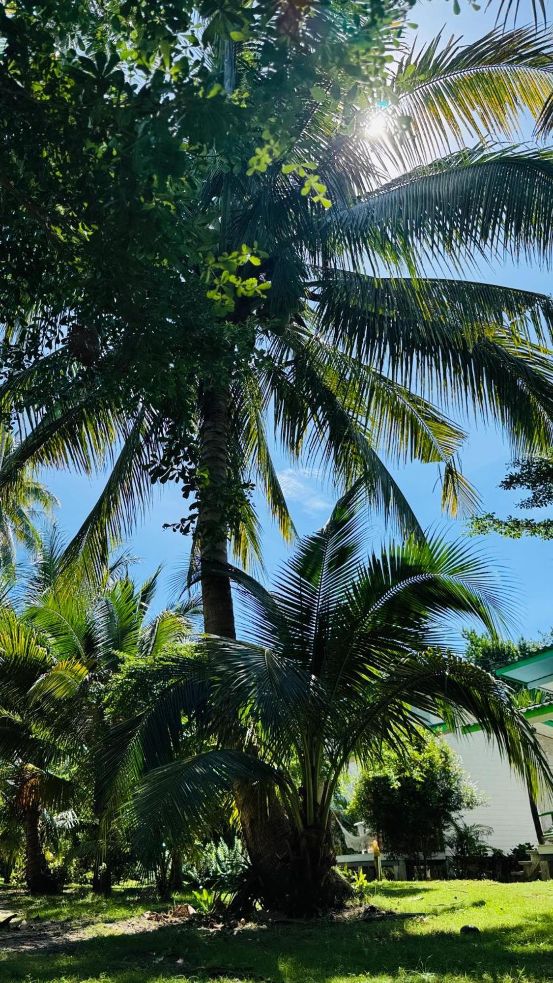 Suan Maprao Ko Kut Resort Bagian luar foto